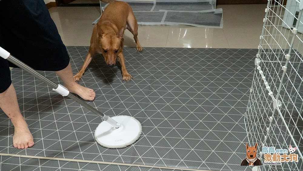 光能淨寵物地板專用清潔劑