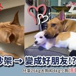 20220502friendship between wangtsai and bobi